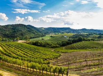 Everything You Need to Know About Friuli