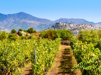Everything You Need to Know About Sicily