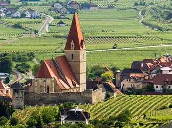 Discover Austria, Central Europe’s Capital for Cool Climate Wines