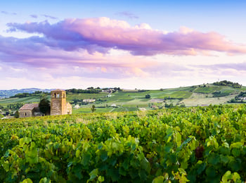 How Beaujolais Pioneered the Modern Day Movement for 'Good Wine'