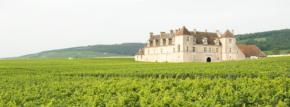 Burgundy, French Wine Regions and Producers | Verve Wine