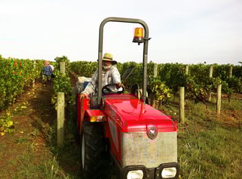 Three Producers Making Good Wine from Classic Grapes In Not-So-Classic Regions