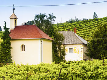 Discover Hungary, Central Europe's Hotbed Rich Dessert Wines & 'Bull's Blood'