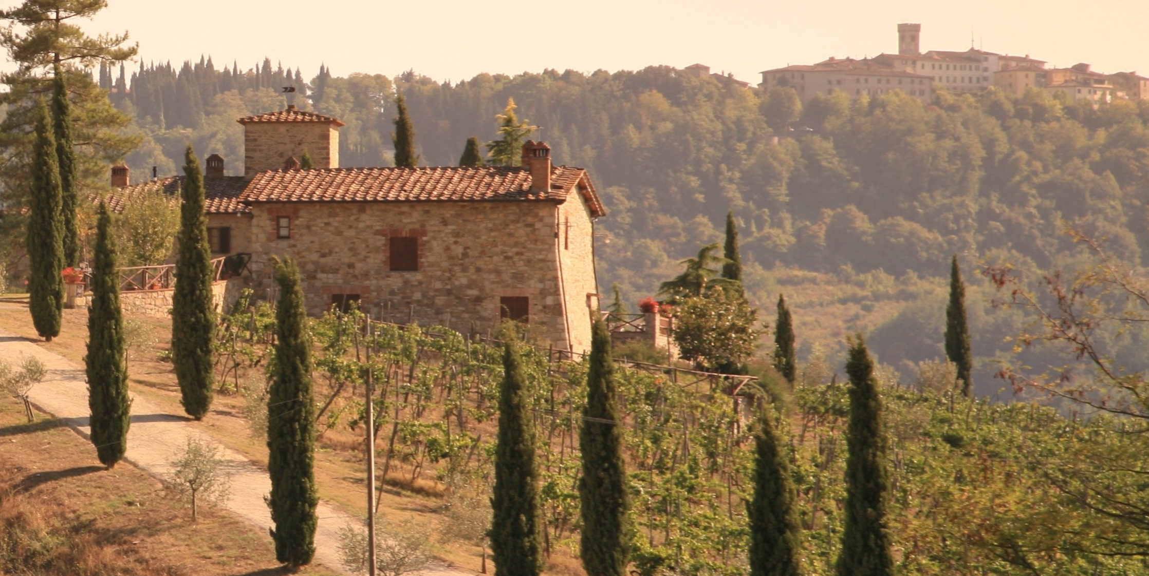 Tuscany Wines | Verve Wine