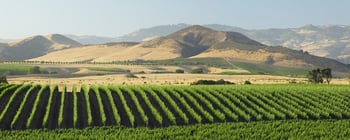 A Guide to Our Favorite California Producers