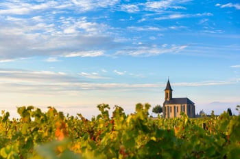 A Guide To Our Favorite Beaujolais Producers