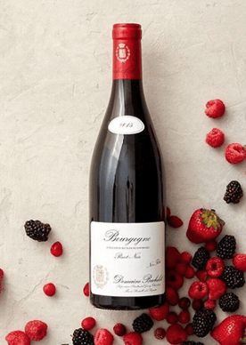 Domaine Bachelet Pinot Noir