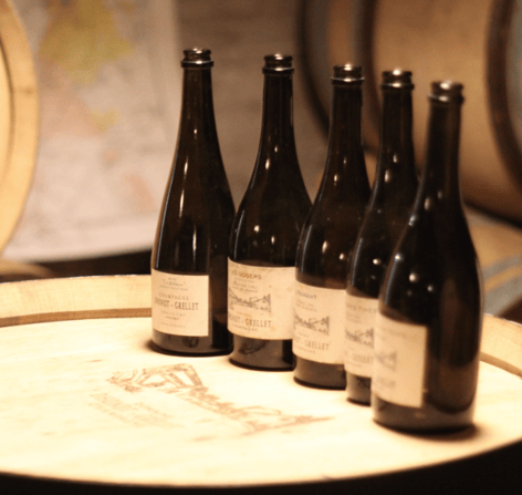 cellar tasting bottles