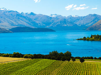 Everything You Need to Know About New Zealand