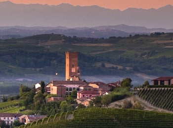 Get to Know Piedmont, Home to World Class Nebbiolo