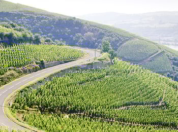 Discover France's Rhône Valley - North vs. South