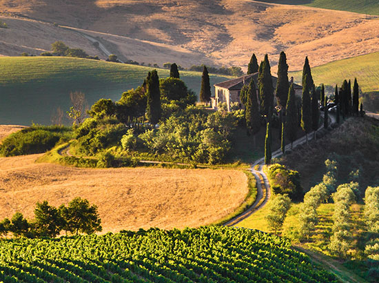 Discover Tuscany Italys Most Famous Wine Region 7923